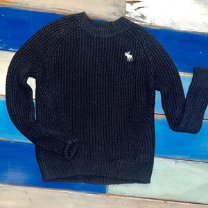 Abercrombie Kids Crew Neck Sweater
